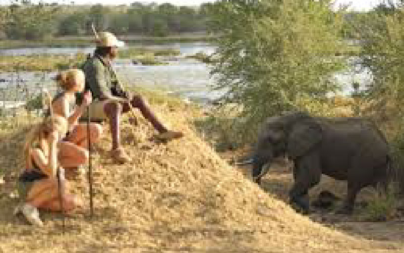 3-days-mikumi-tours-from-zanzibar