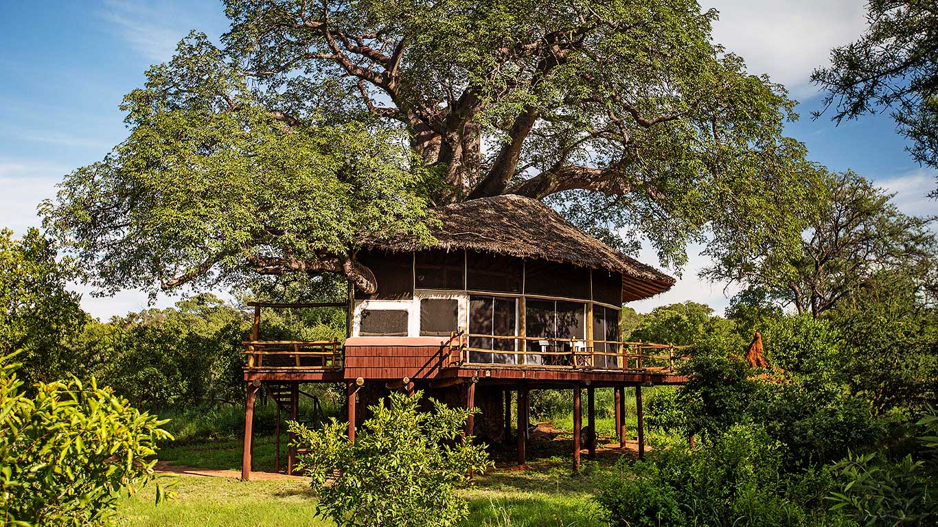 Tarangire Treetops Lodge